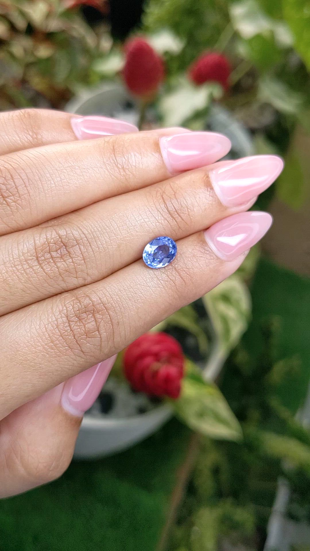 1.64 Ct. Blue Sapphire from Ceylon (Sri Lanka) Size Video