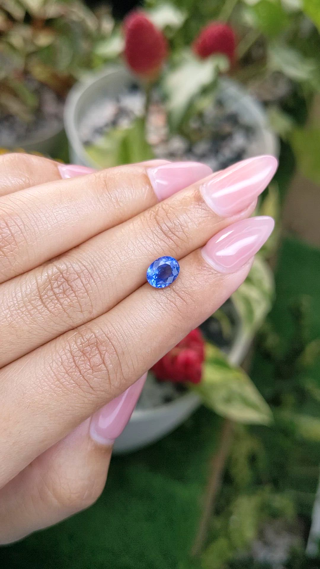 1.73 Ct. Blue Sapphire from Ceylon (Sri Lanka) Size Video