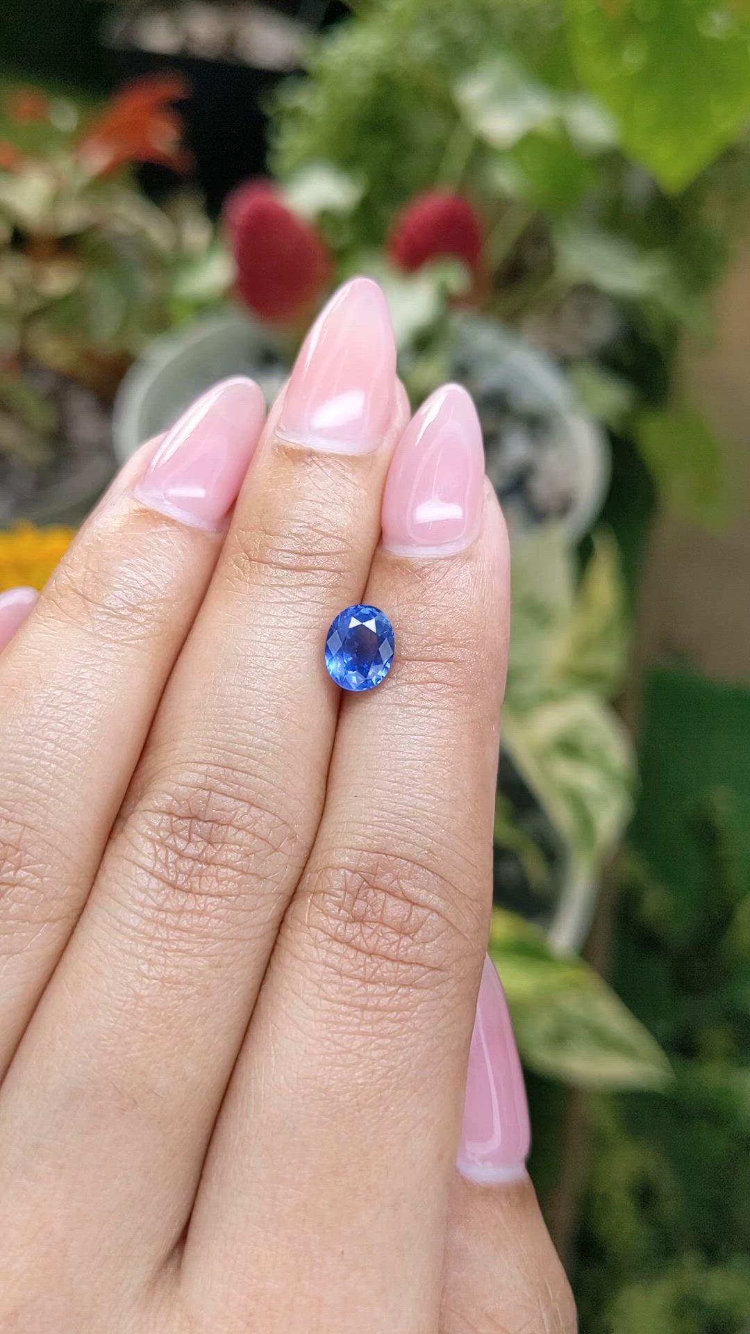 1.73 Ct. Blue Sapphire from Ceylon (Sri Lanka) Size Video