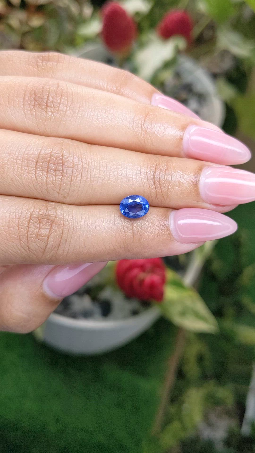 1.73 Ct. Blue Sapphire from Ceylon (Sri Lanka) Size Video