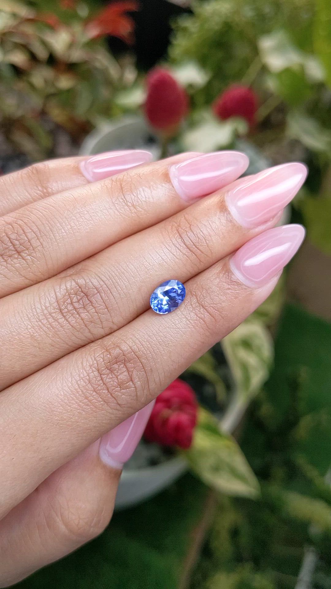 1.71 Ct. Blue Sapphire from Ceylon (Sri Lanka) Size Video