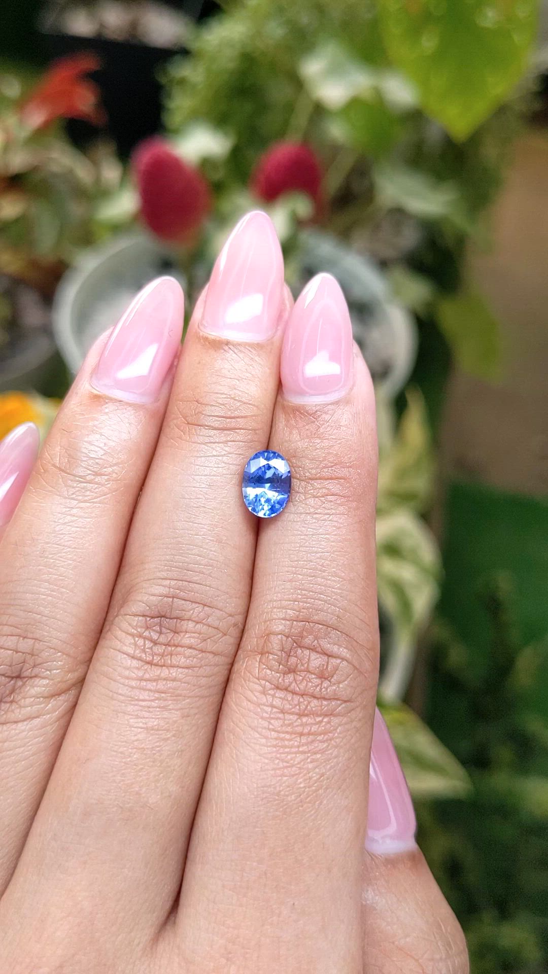 1.71 Ct. Blue Sapphire from Ceylon (Sri Lanka) Size Video