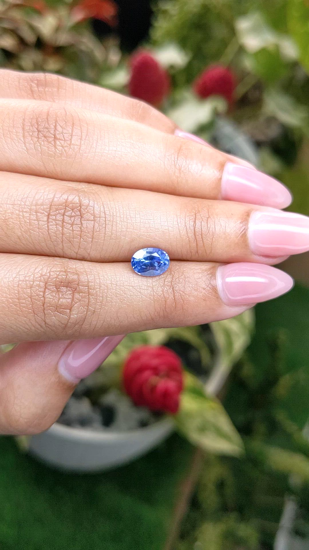 1.71 Ct. Blue Sapphire from Ceylon (Sri Lanka) Size Video