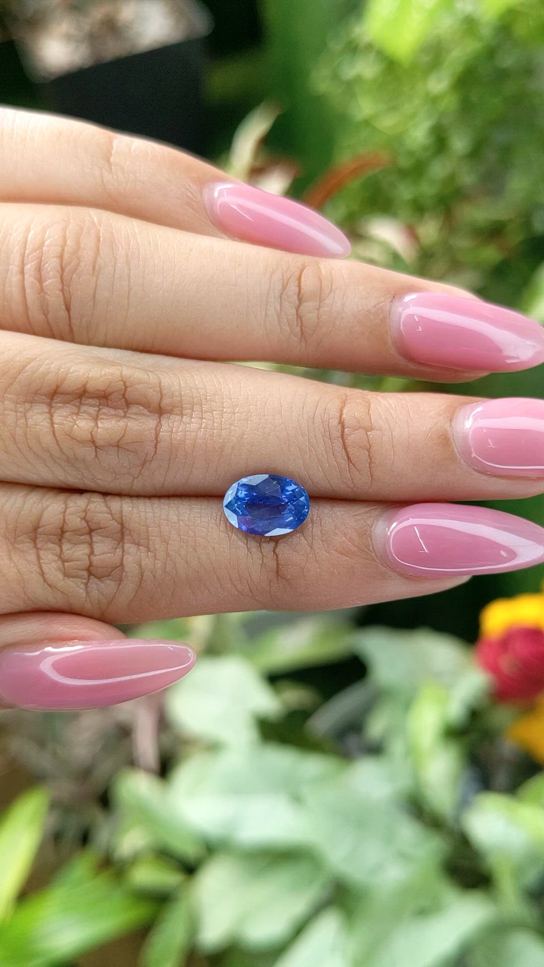 2.02 Ct. Blue Sapphire from Ceylon (Sri Lanka) Size Video