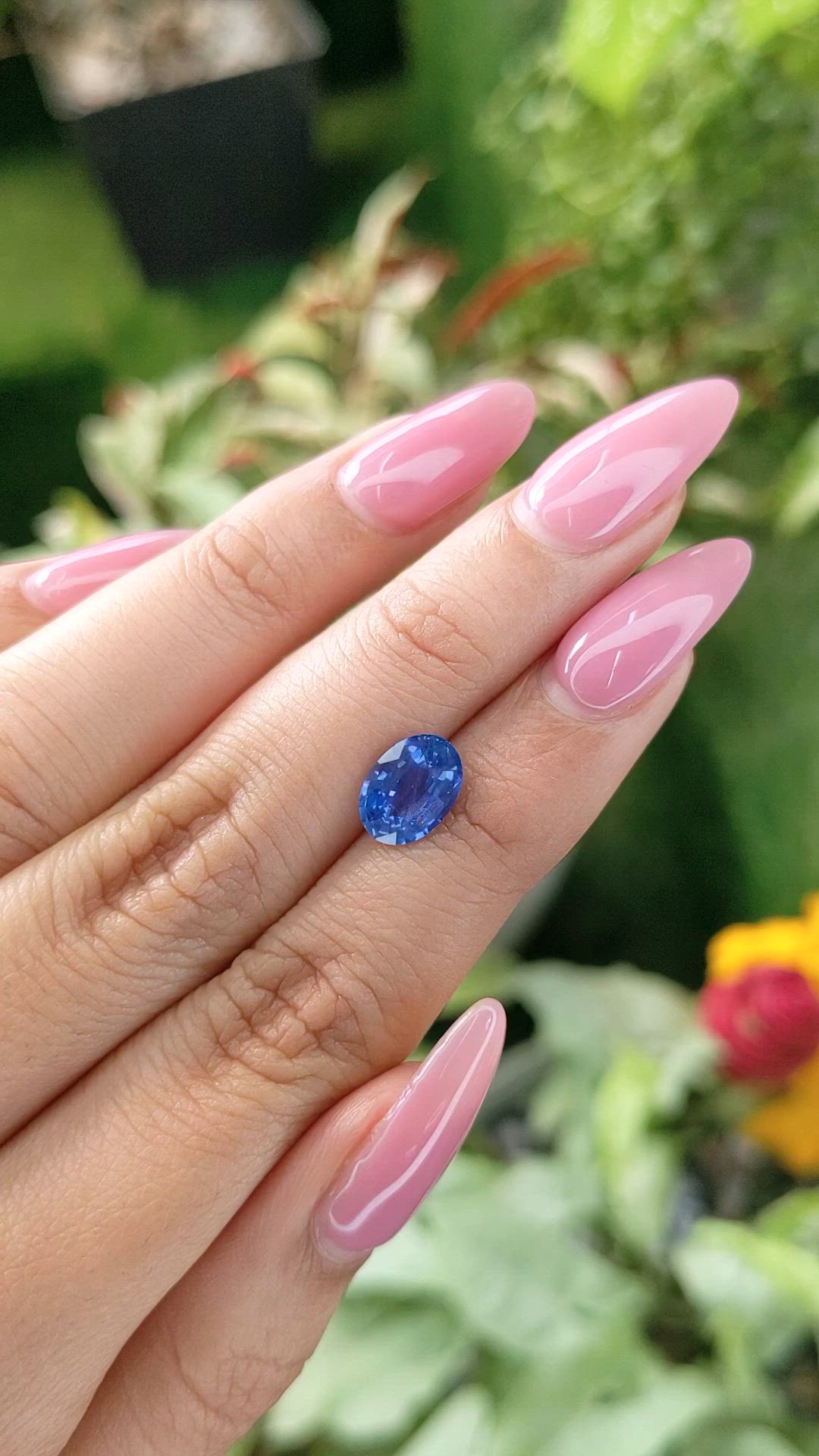 2.02 Ct. Blue Sapphire from Ceylon (Sri Lanka) Size Video