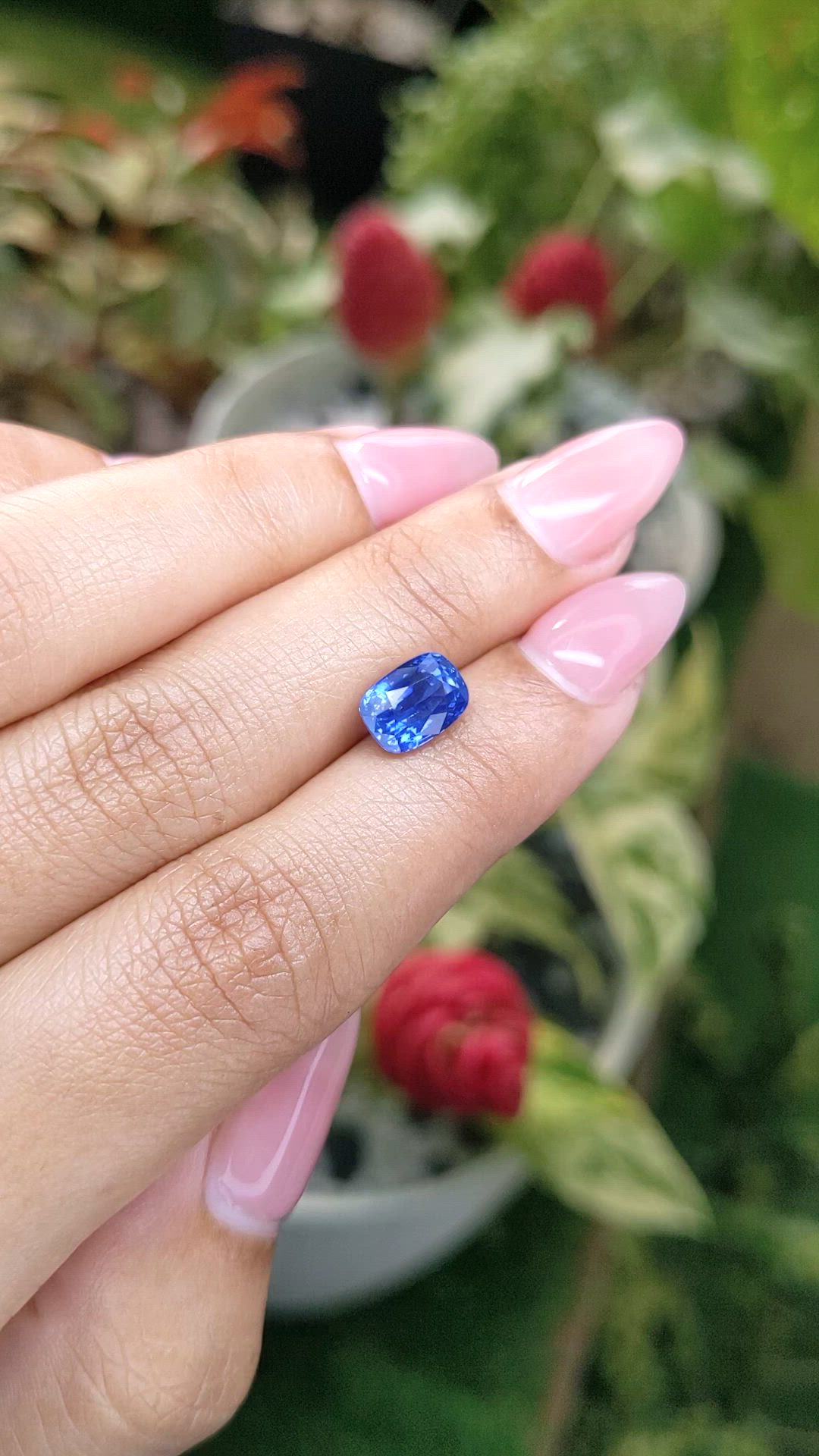 2.60 Ct. Blue Sapphire from Ceylon (Sri Lanka) Size Video