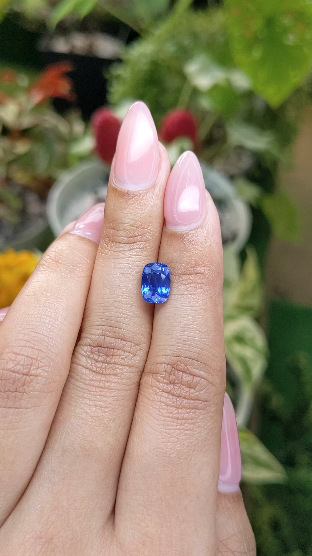 2.60 Ct. Blue Sapphire from Ceylon (Sri Lanka) Size Video