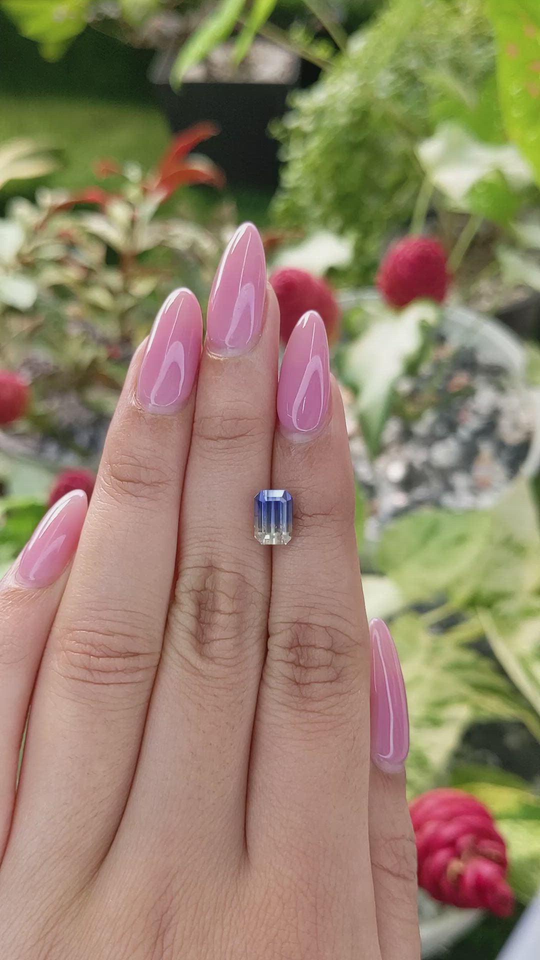 2.34 Ct. Bi Color Sapphire from Ceylon (Sri Lanka) Size Video