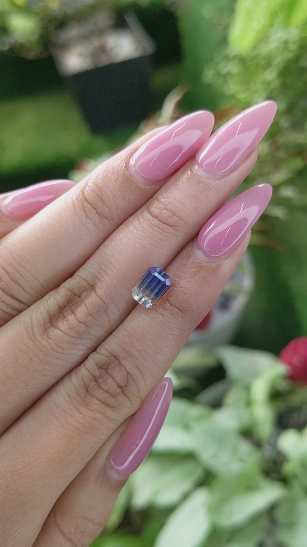 2.34 Ct. Bi Color Sapphire from Ceylon (Sri Lanka) Size Video