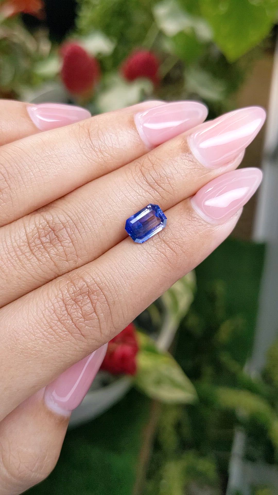 2.04 Ct. Bi Color Sapphire from Ceylon (Sri Lanka) Size Video