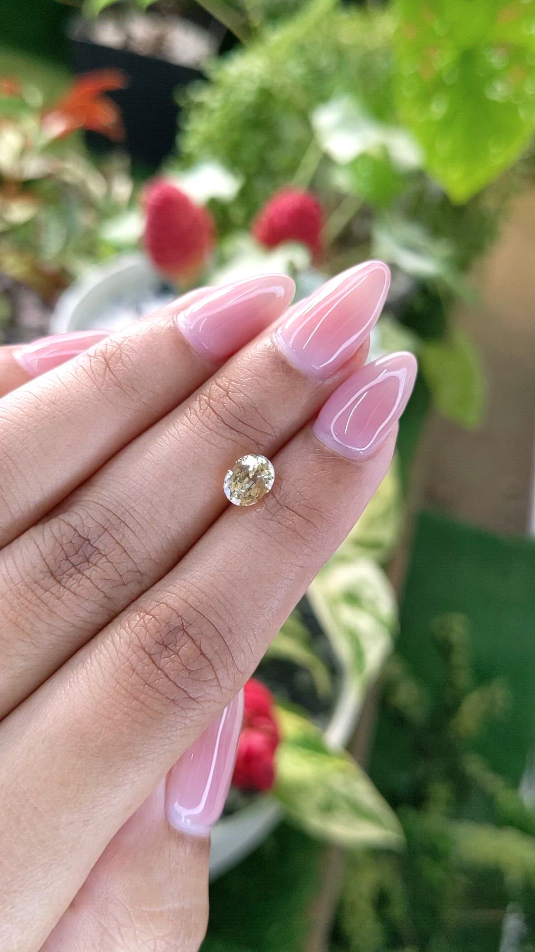 1.44 Ct. Yellow Sapphire from Ceylon (Sri Lanka) Size Video