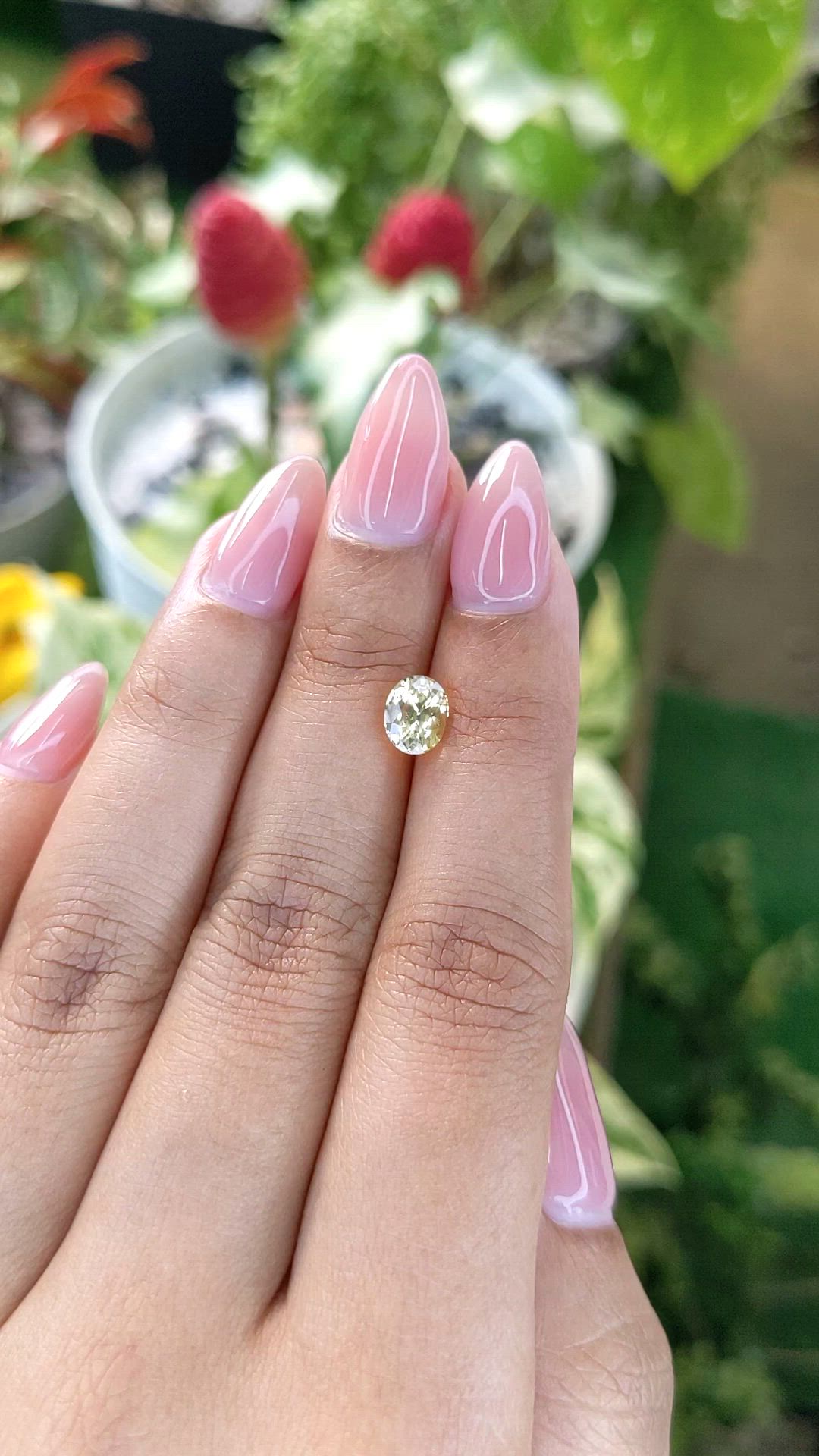 1.44 Ct. Yellow Sapphire from Ceylon (Sri Lanka) Size Video