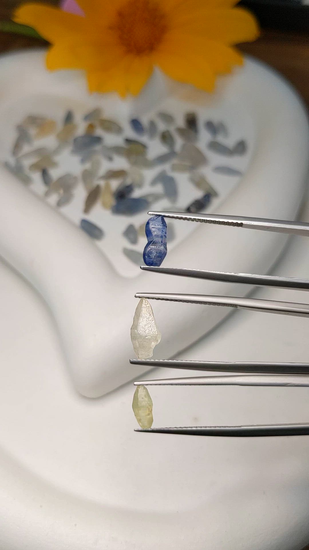 99.80 Ct. Multi Color Sapphire Crystal from Ceylon (Sri Lanka) Size Video