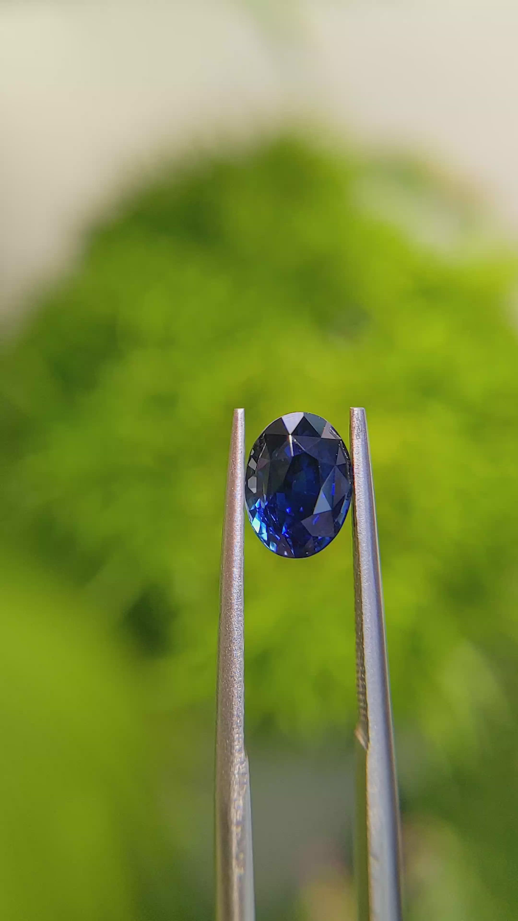 1.77 Ct. Blue Sapphire from Ceylon (Sri Lanka) Size Video