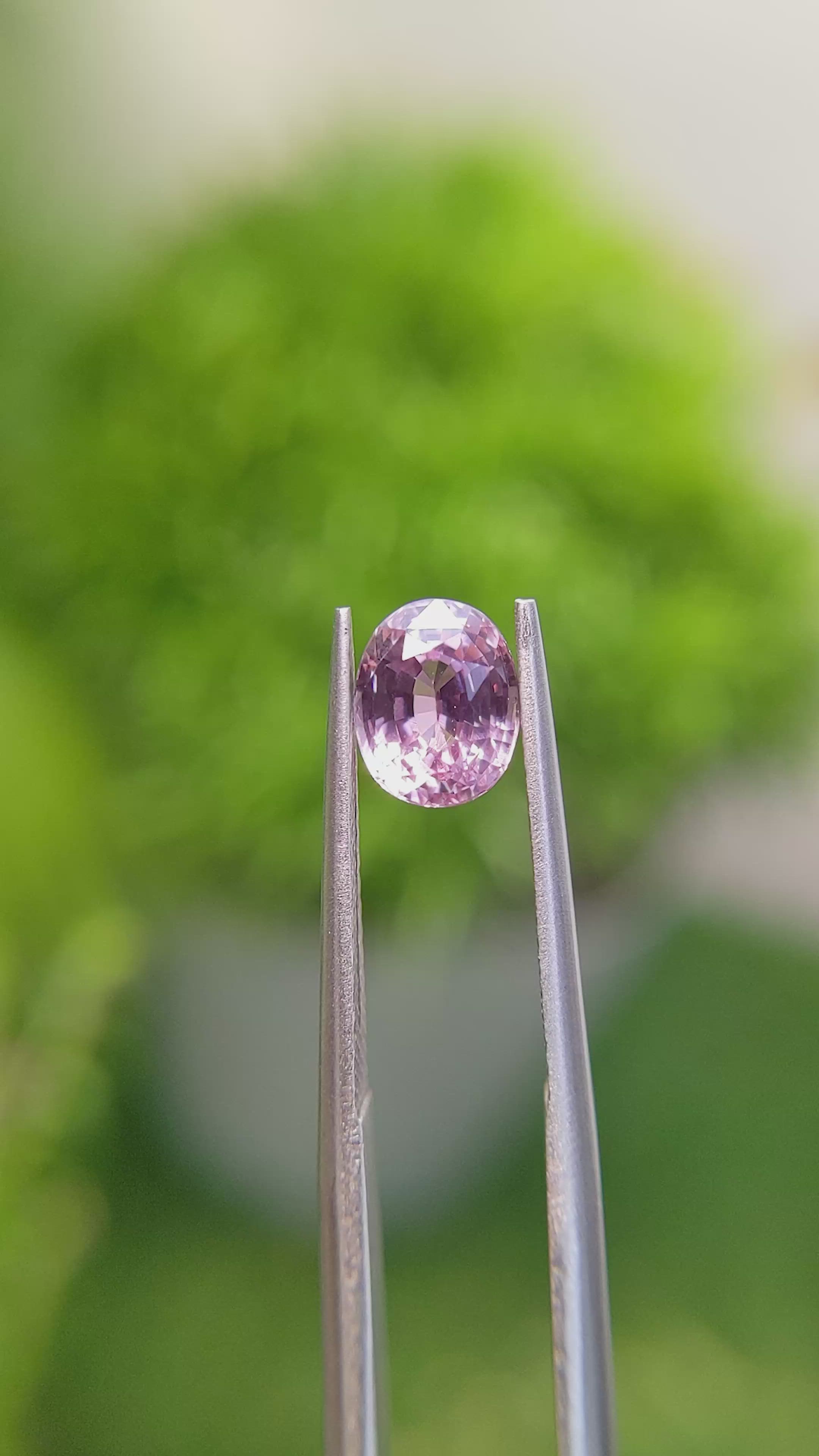 1.63 Ct. Pink Sapphire from Ceylon (Sri Lanka) Size Video