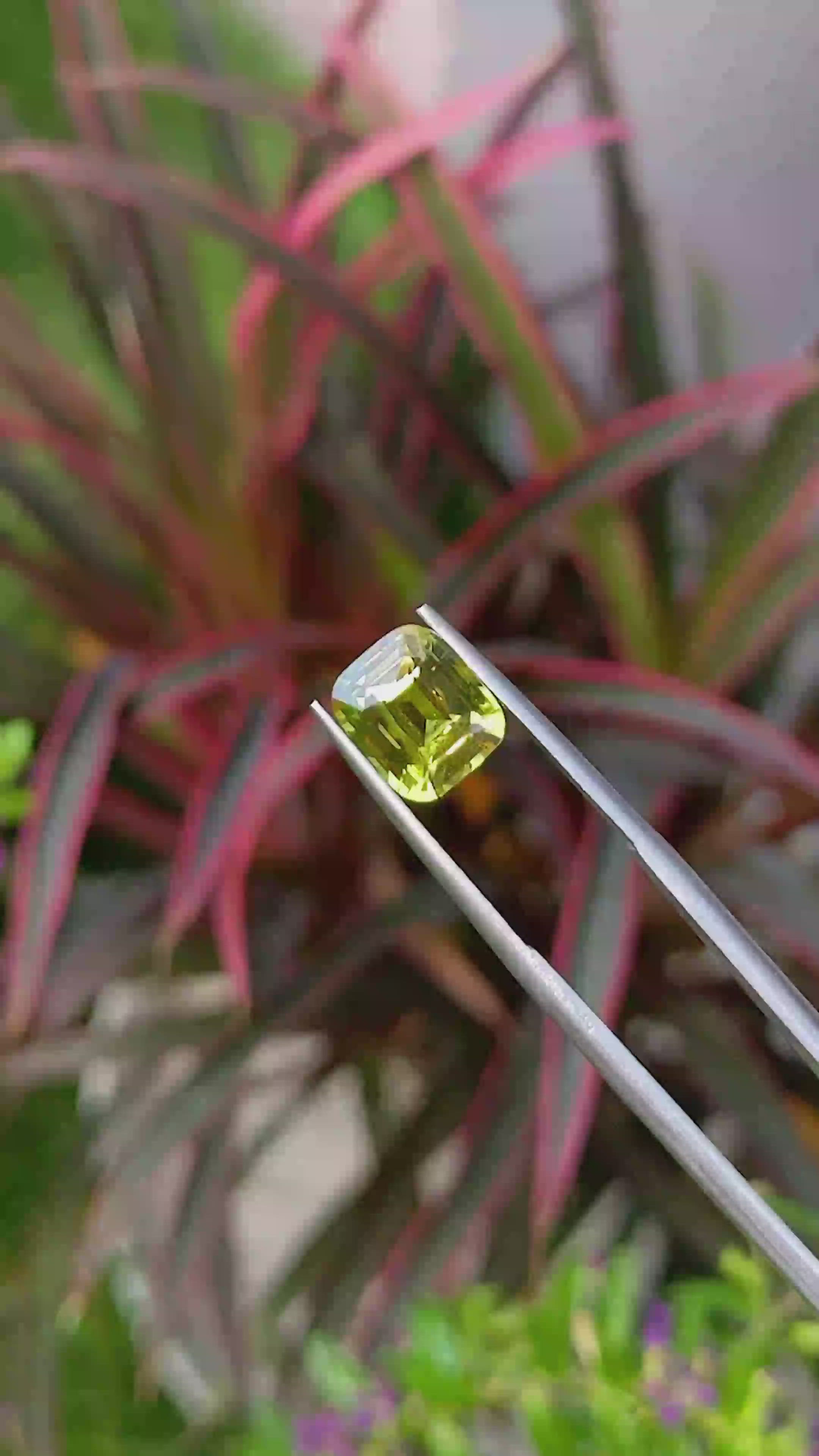3.04 Ct. Yellowish Green Sapphire from Madagascar Size Video