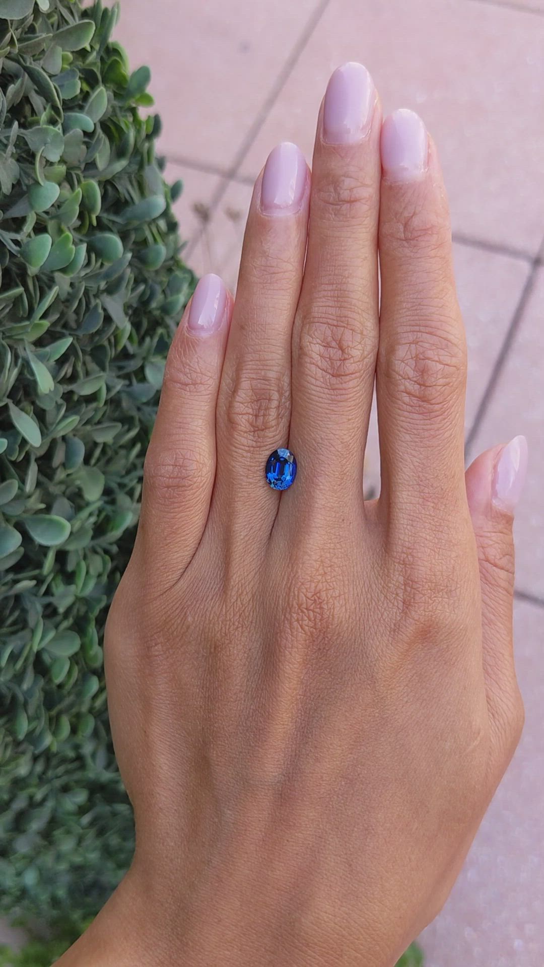 1.64 Ct. Blue Sapphire from Thailand Size Video