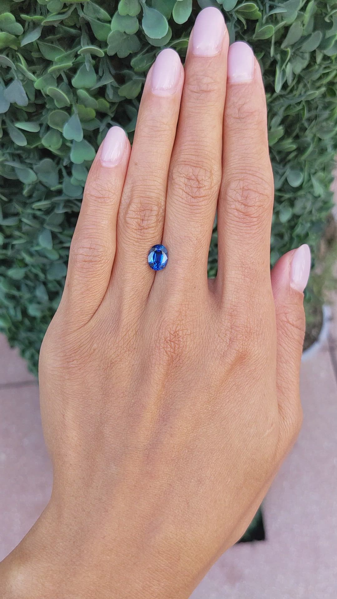 1.69 Ct. Blue Sapphire from Thailand Size Video