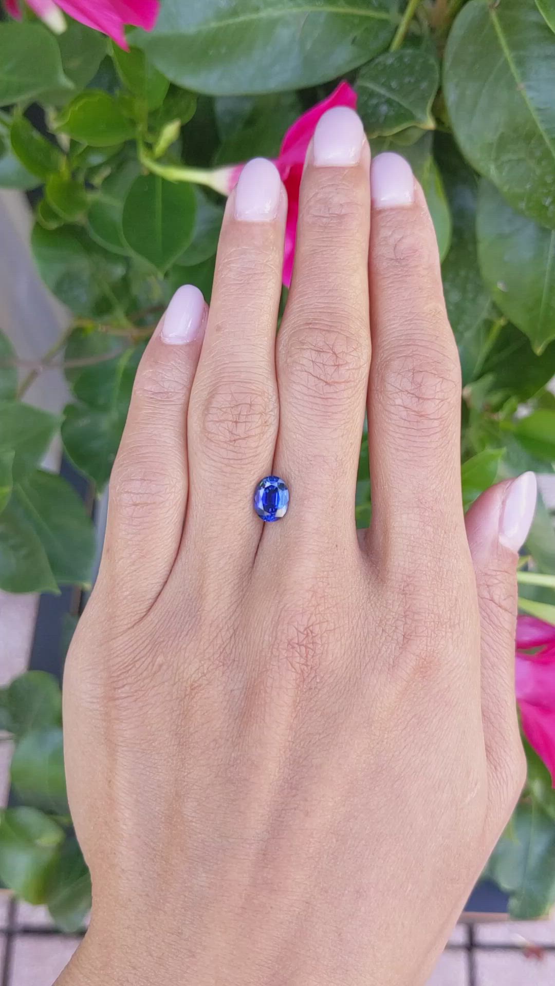 1.69 Ct. Blue Sapphire from Thailand Size Video
