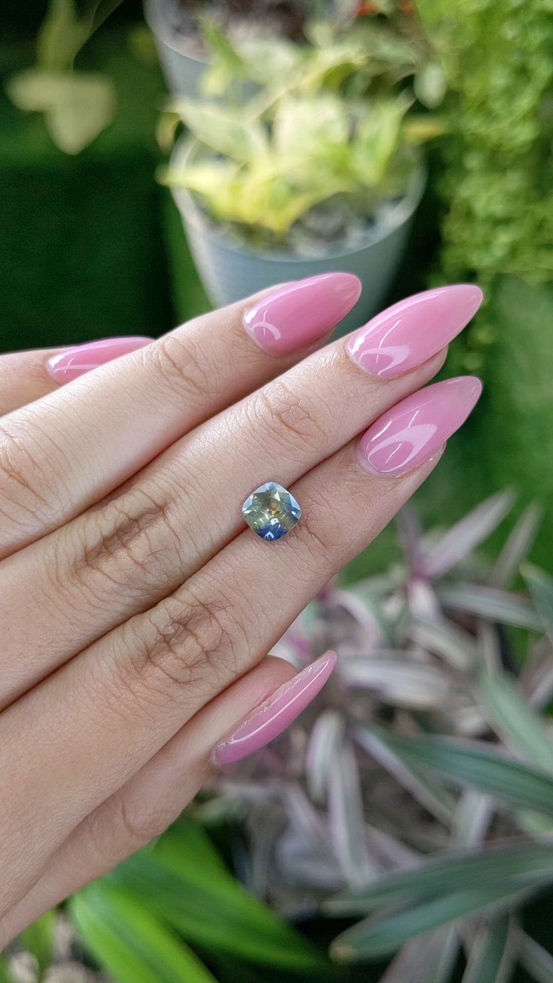 1.29 Ct. Bi Color Sapphire from Ceylon (Sri Lanka) Size Video