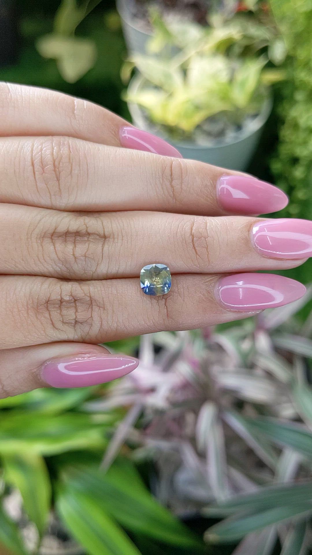 1.29 Ct. Bi Color Sapphire from Ceylon (Sri Lanka) Size Video