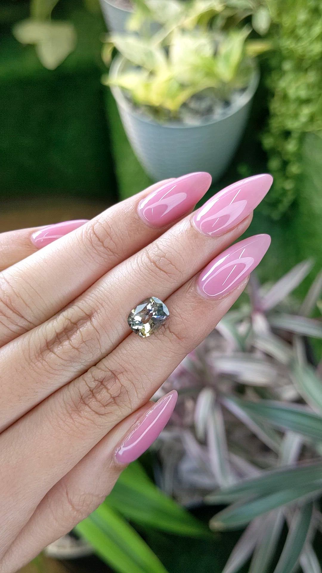 2.29 Ct. Bi Color Sapphire from Ceylon (Sri Lanka) Size Video