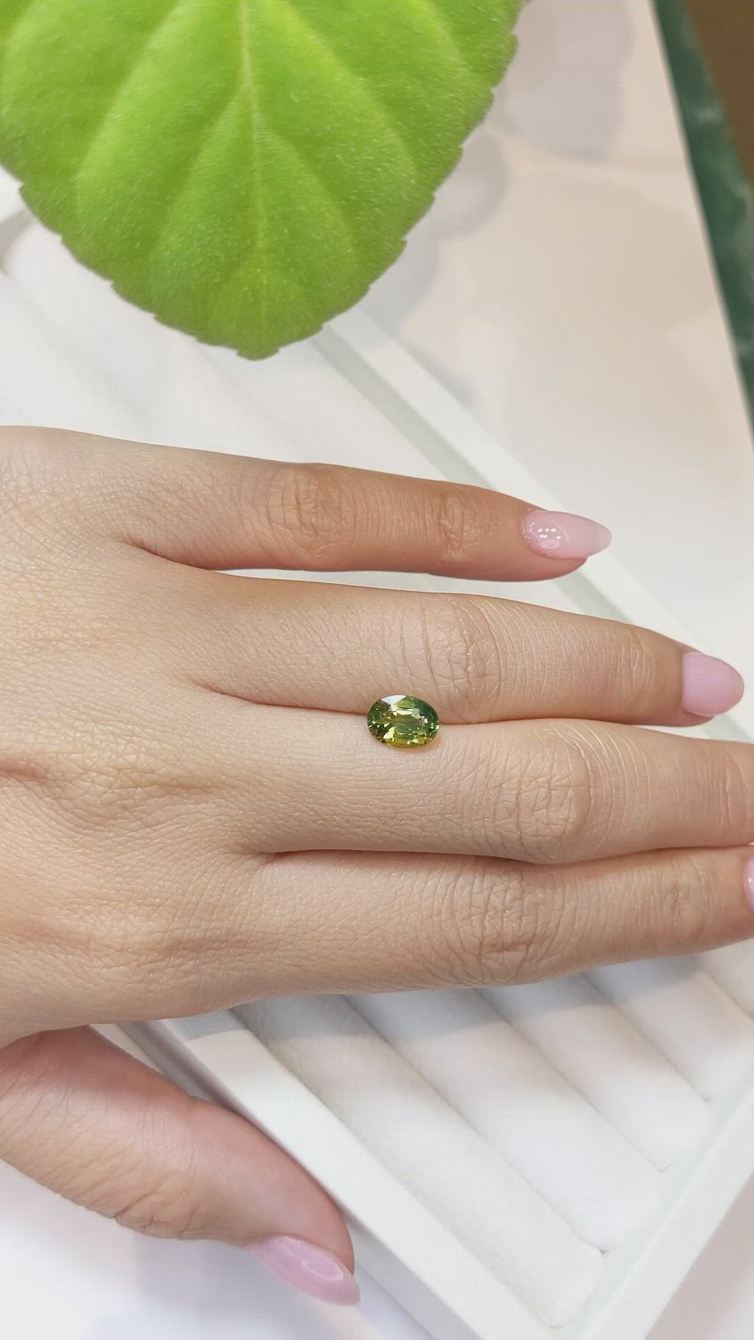 1.60 Ct. Yellowish Green Sapphire from Ceylon (Sri Lanka) Size Video