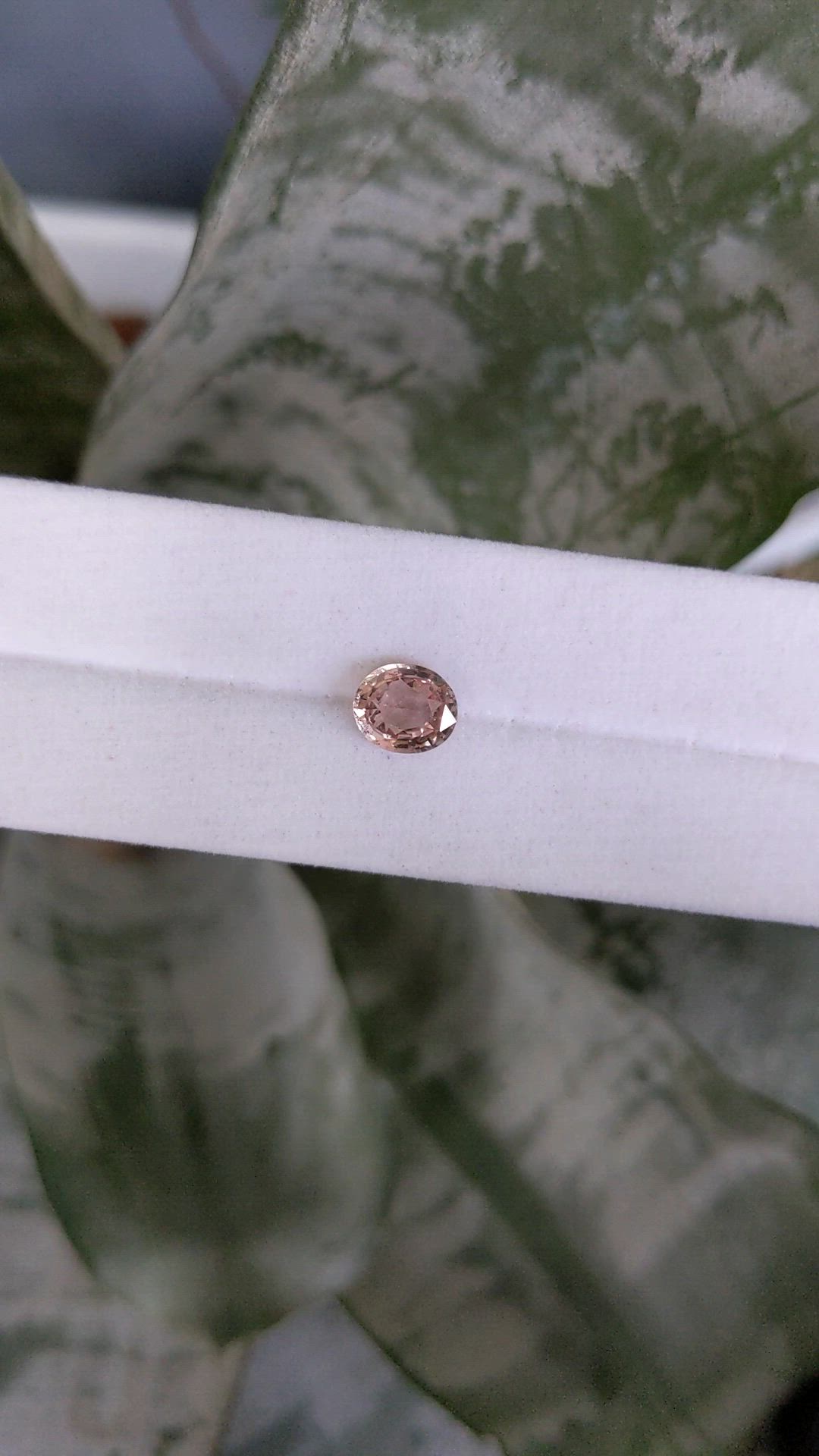 1.53 Ct. Pinkish Brown Sapphire from Ceylon (Sri Lanka) Size Video