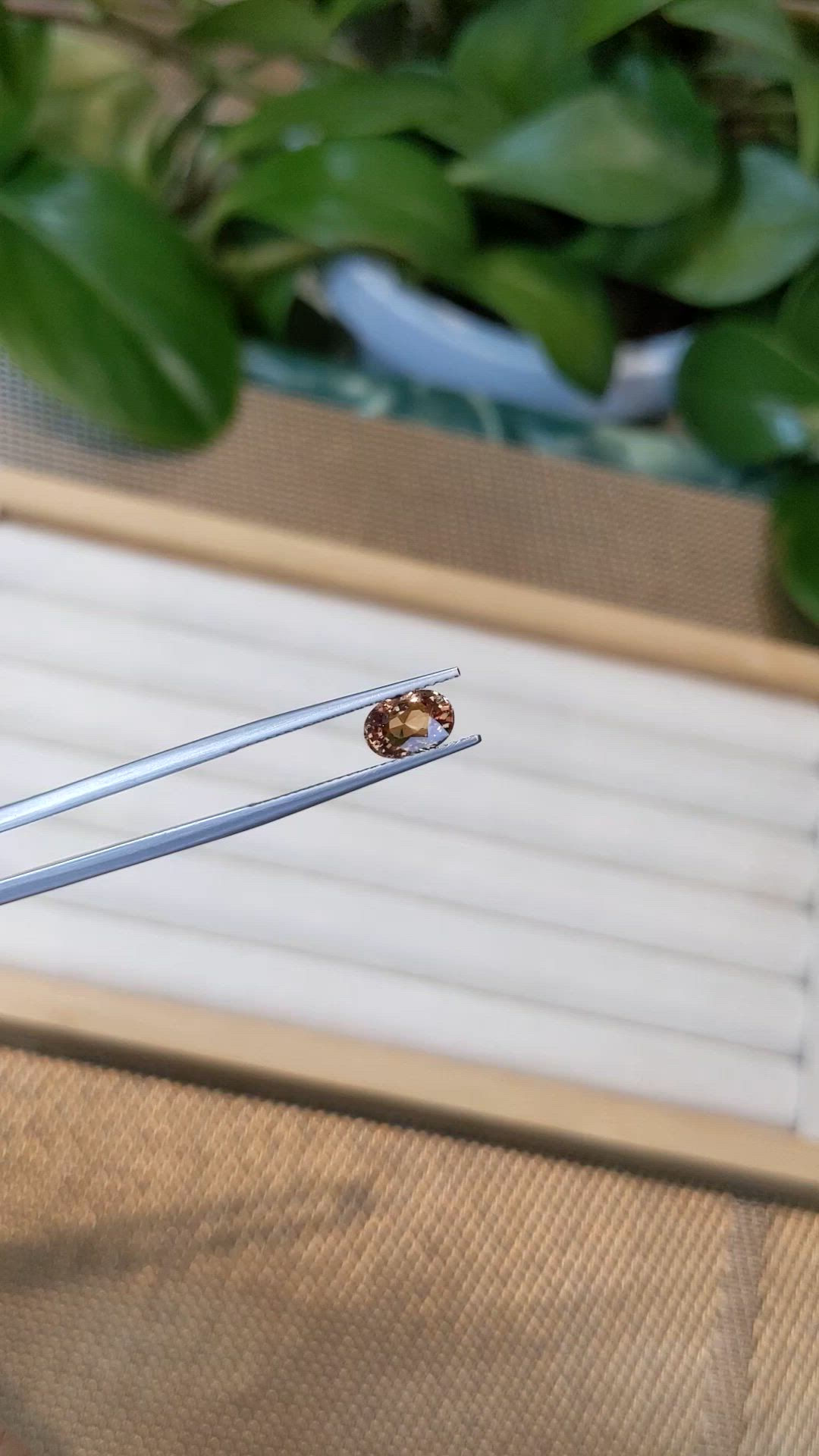 1.46 Ct. Orangish Brown Sapphire from Ceylon (Sri Lanka) Size Video