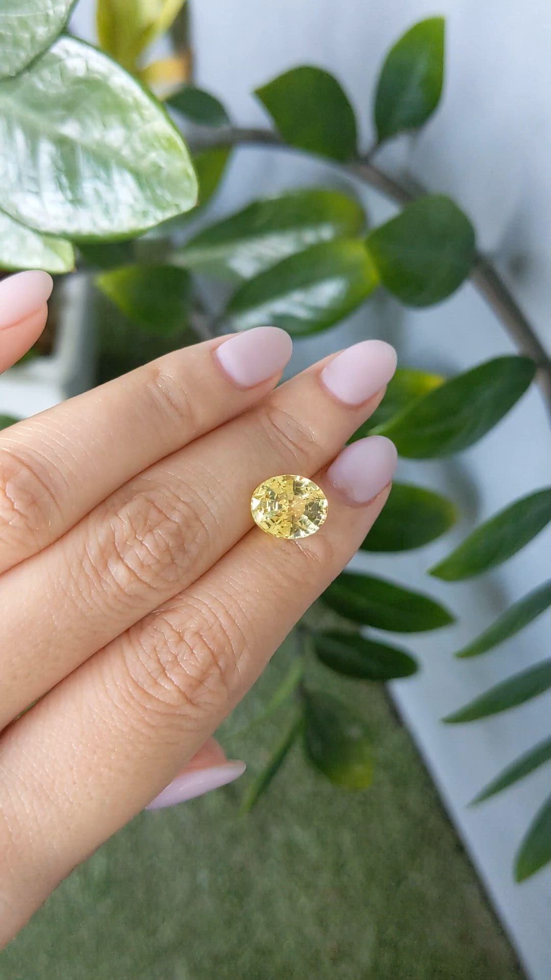 5.10 Ct. Yellow Sapphire from Madagascar Size Video