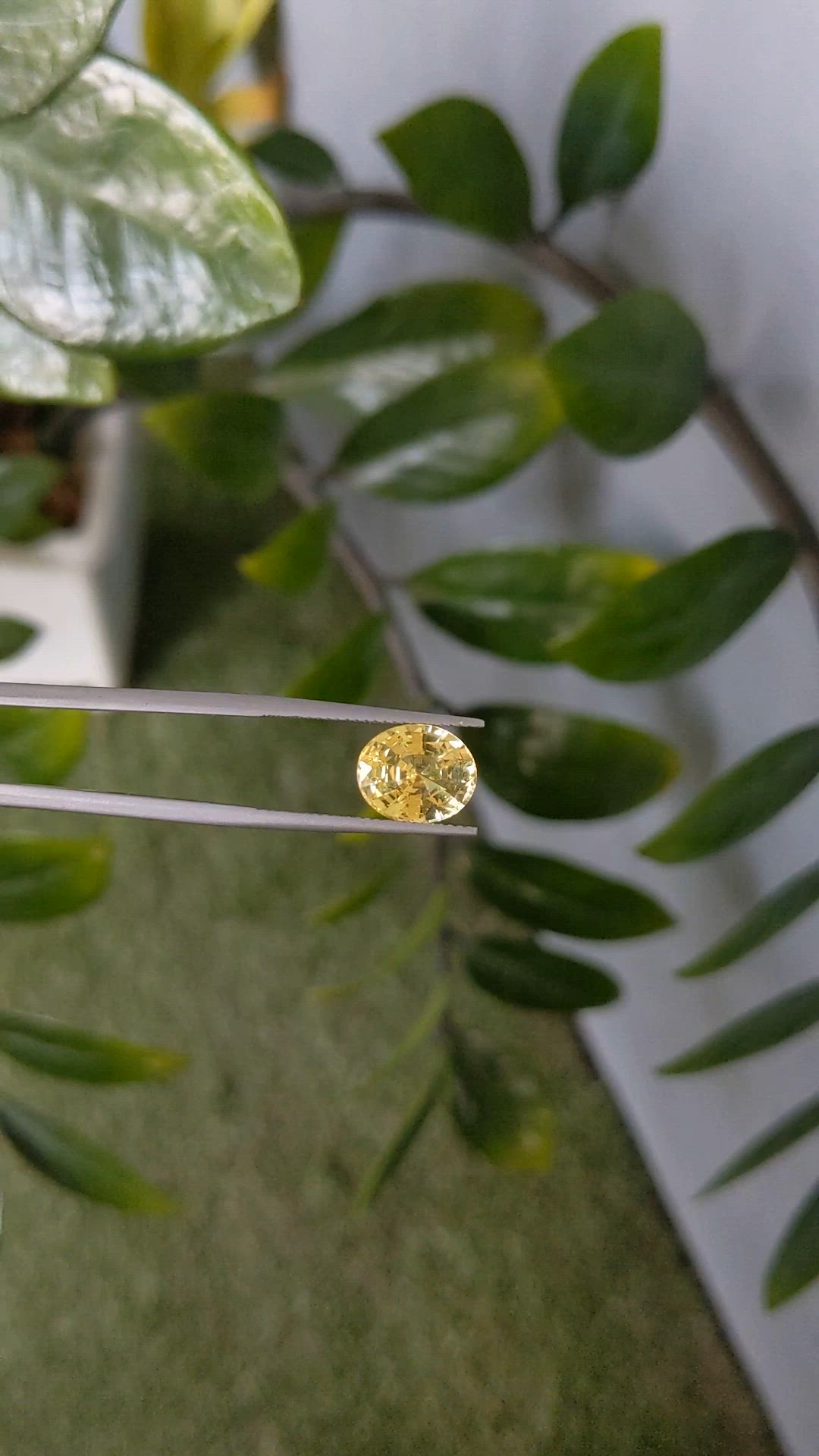 5.10 Ct. Yellow Sapphire from Madagascar Size Video