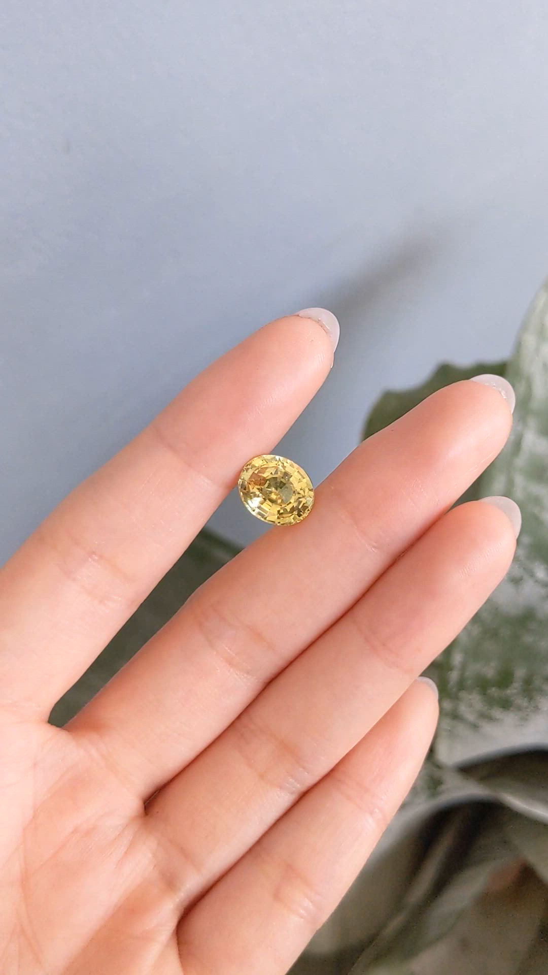5.10 Ct. Yellow Sapphire from Madagascar Size Video