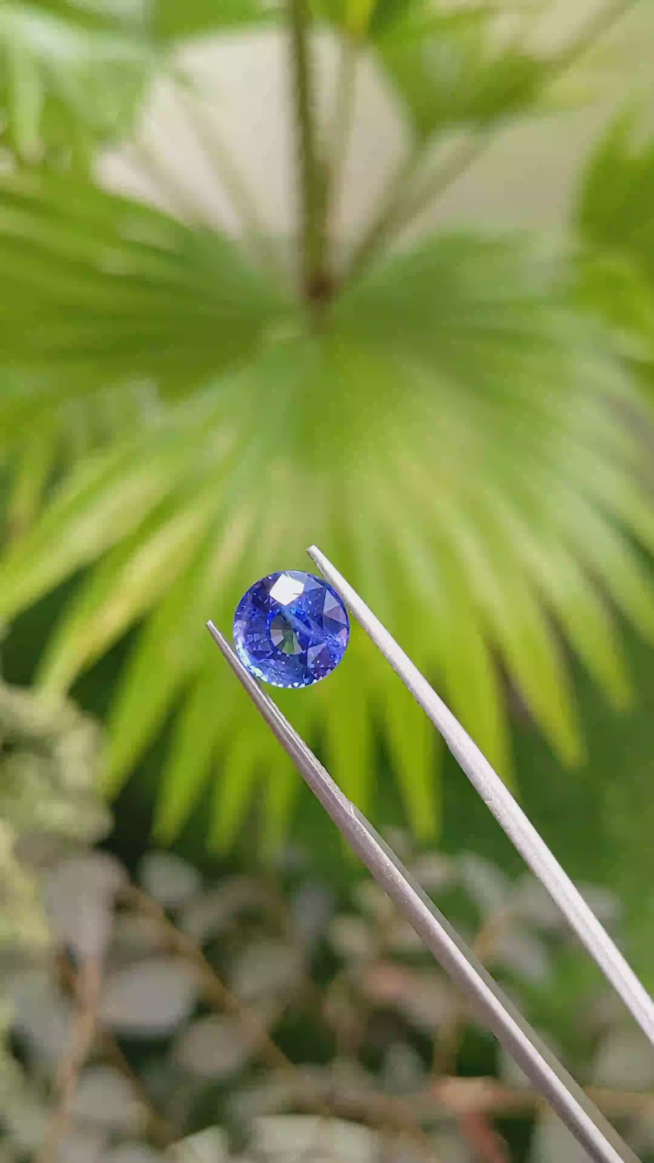 3.83 Ct. Blue Sapphire from Ceylon (Sri Lanka) Size Video