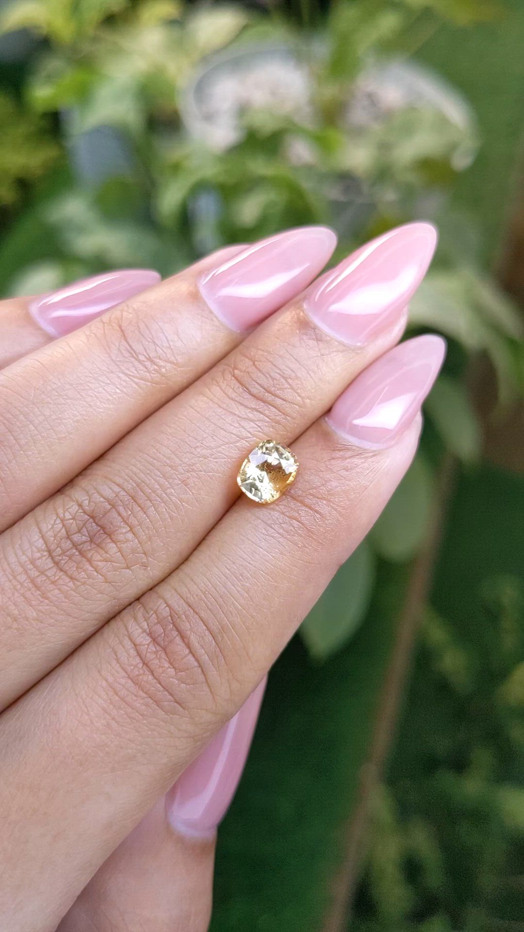 1.57 Ct. Yellow Sapphire from Ceylon (Sri Lanka) Size Video