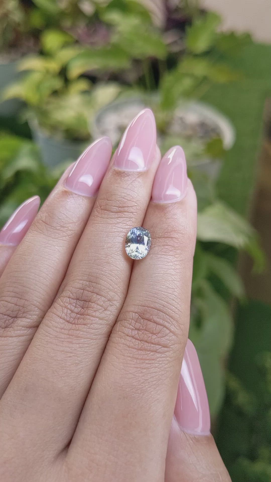 2.14 Ct. Bi Color Sapphire from Ceylon (Sri Lanka) Size Video