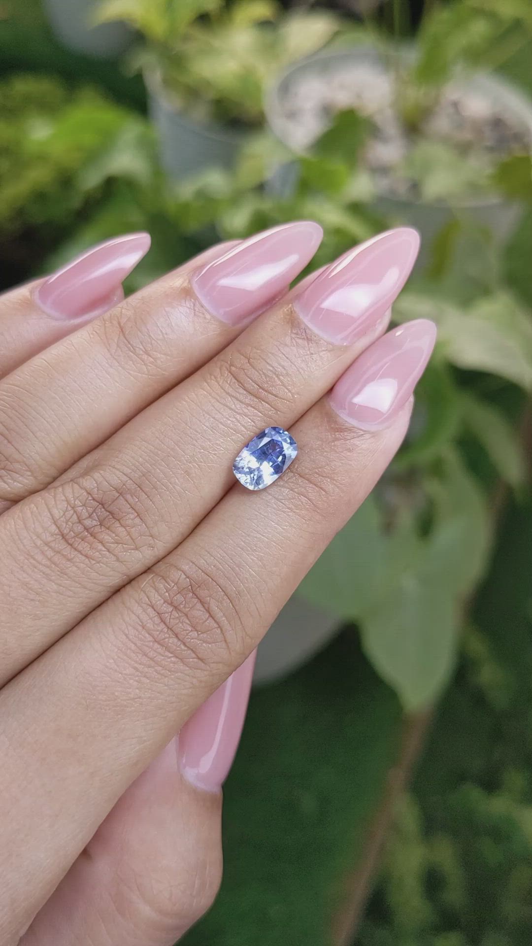 1.68 Ct. Bi Color Sapphire from Ceylon (Sri Lanka) Size Video