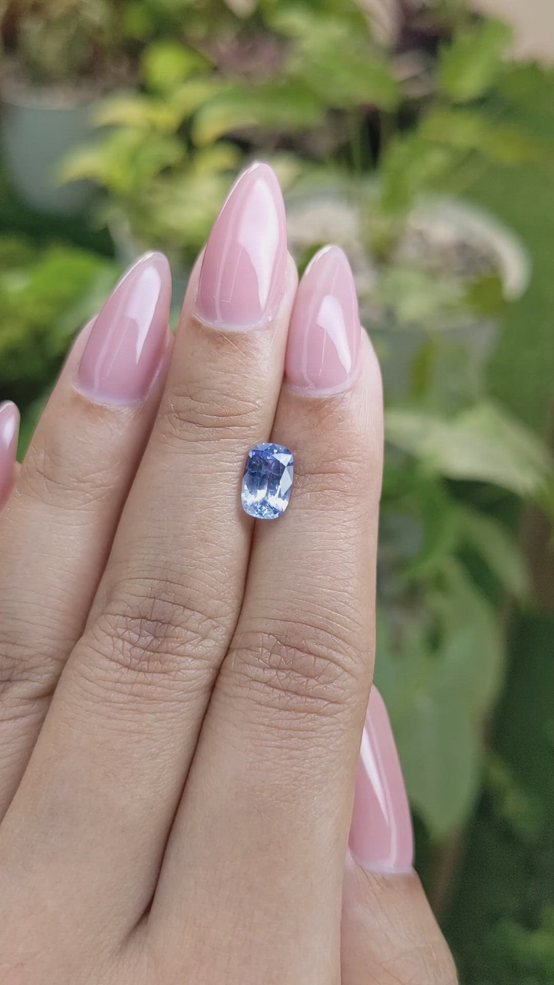 1.68 Ct. Bi Color Sapphire from Ceylon (Sri Lanka) Size Video