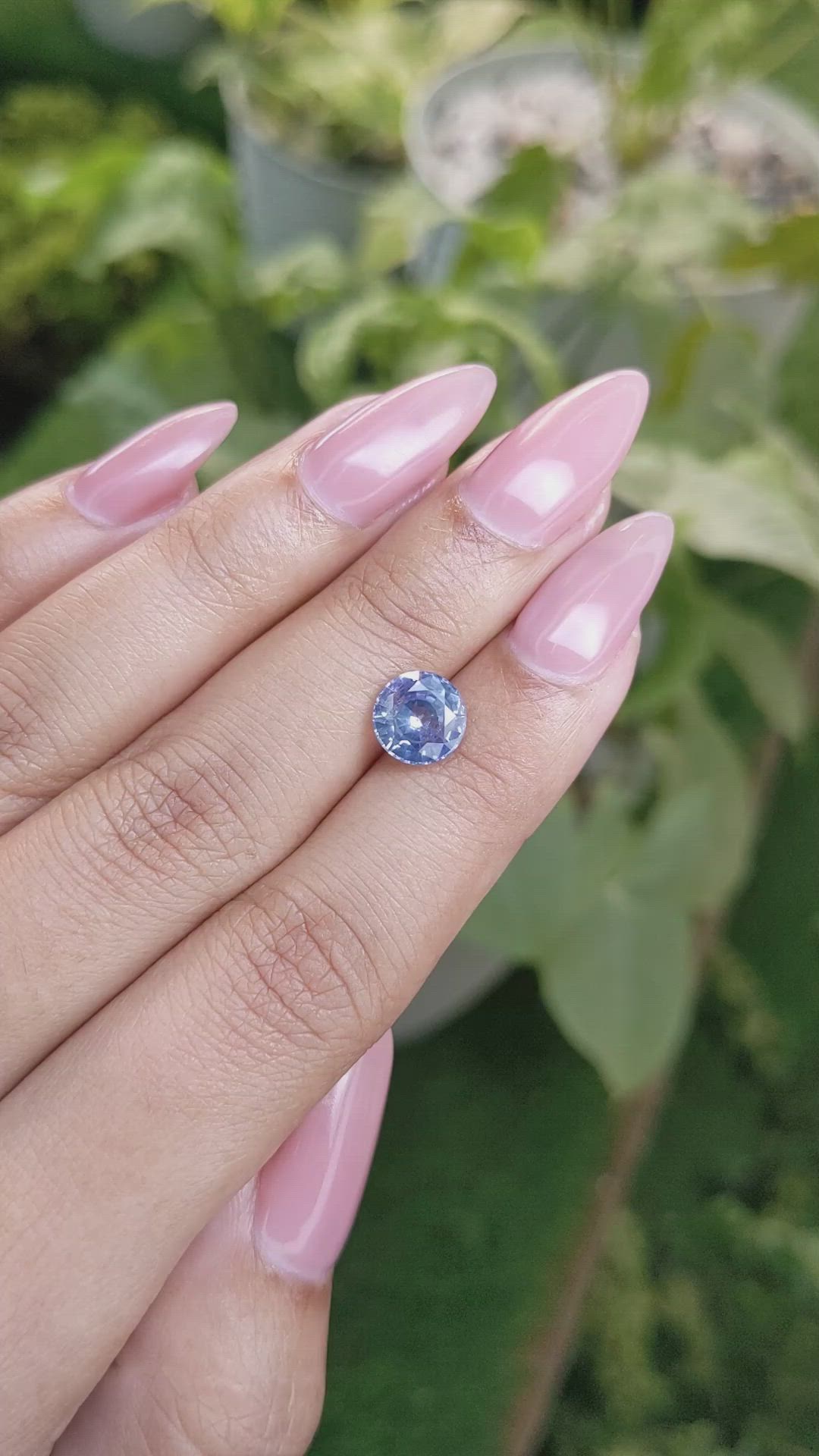 2.21 Ct. Bi Color Sapphire from Ceylon (Sri Lanka) Size Video