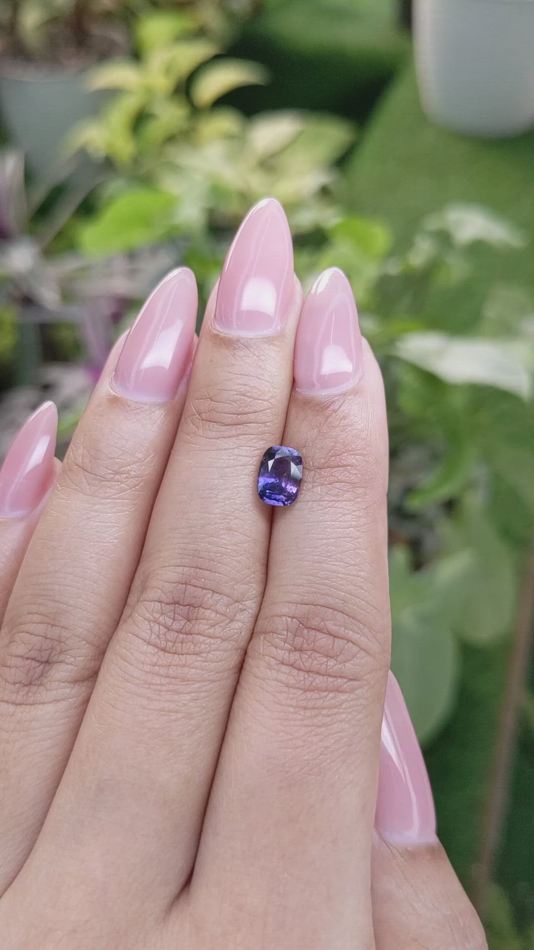 1.26 Ct. Bi Color / Parti Sapphire from Ceylon (Sri Lanka) Size Video