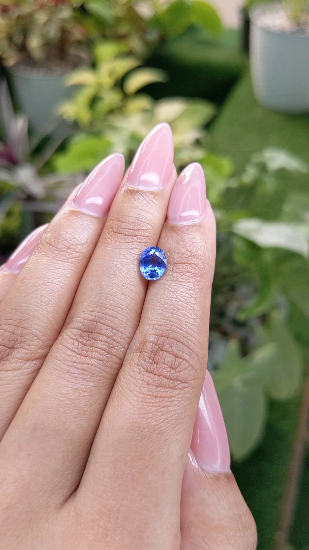 1.37 Ct. Blue Sapphire from Ceylon (Sri Lanka) Size Video