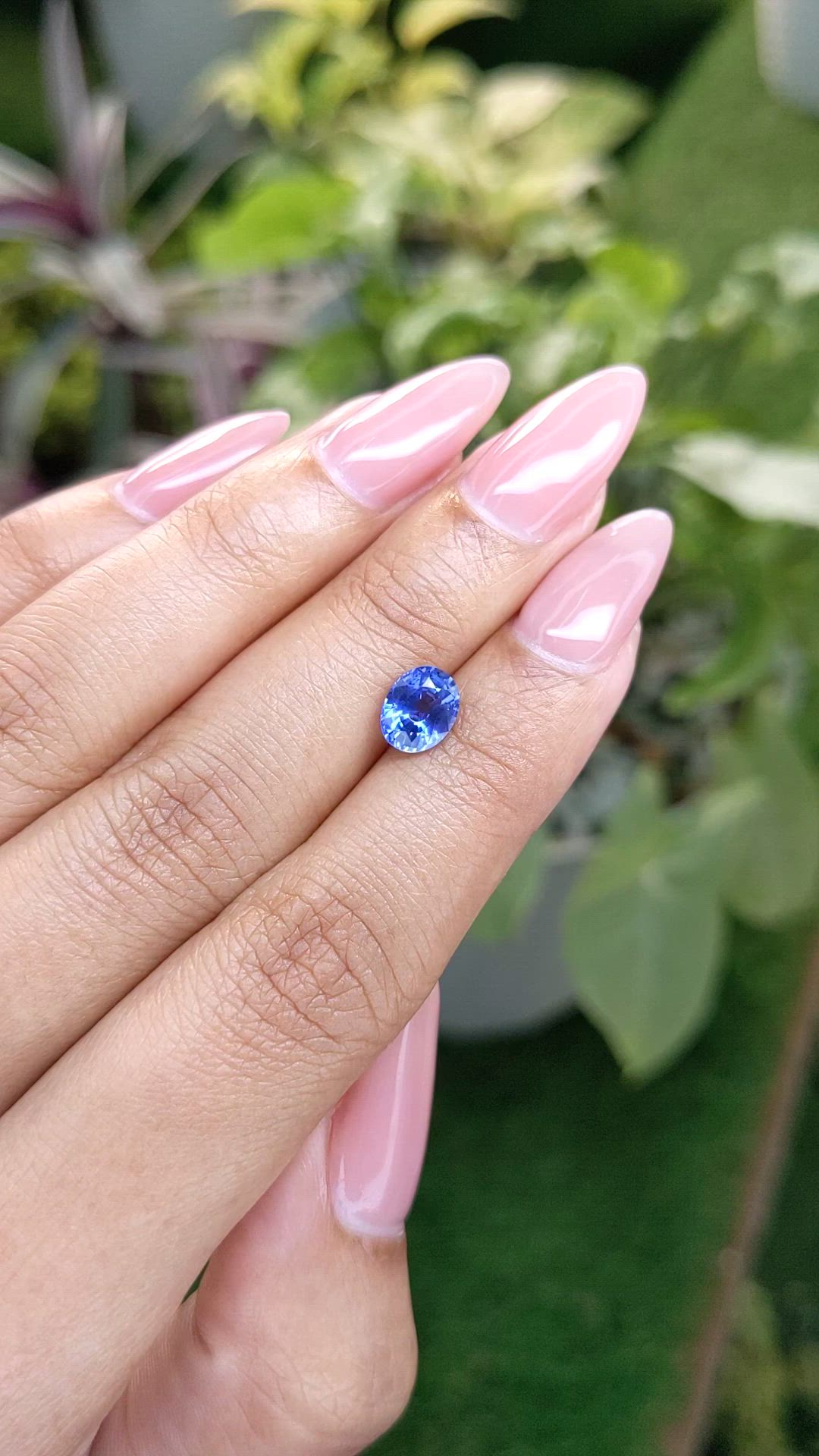 1.37 Ct. Blue Sapphire from Ceylon (Sri Lanka) Size Video