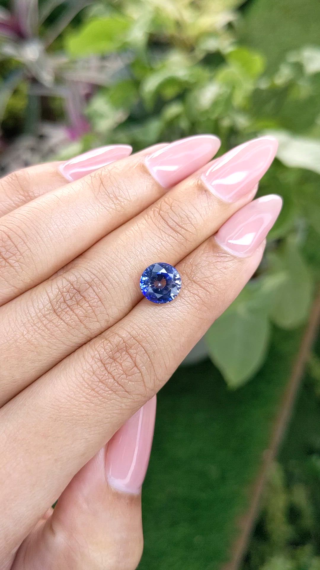2.88 Ct. Bi Color Sapphire from Ceylon (Sri Lanka) Size Video