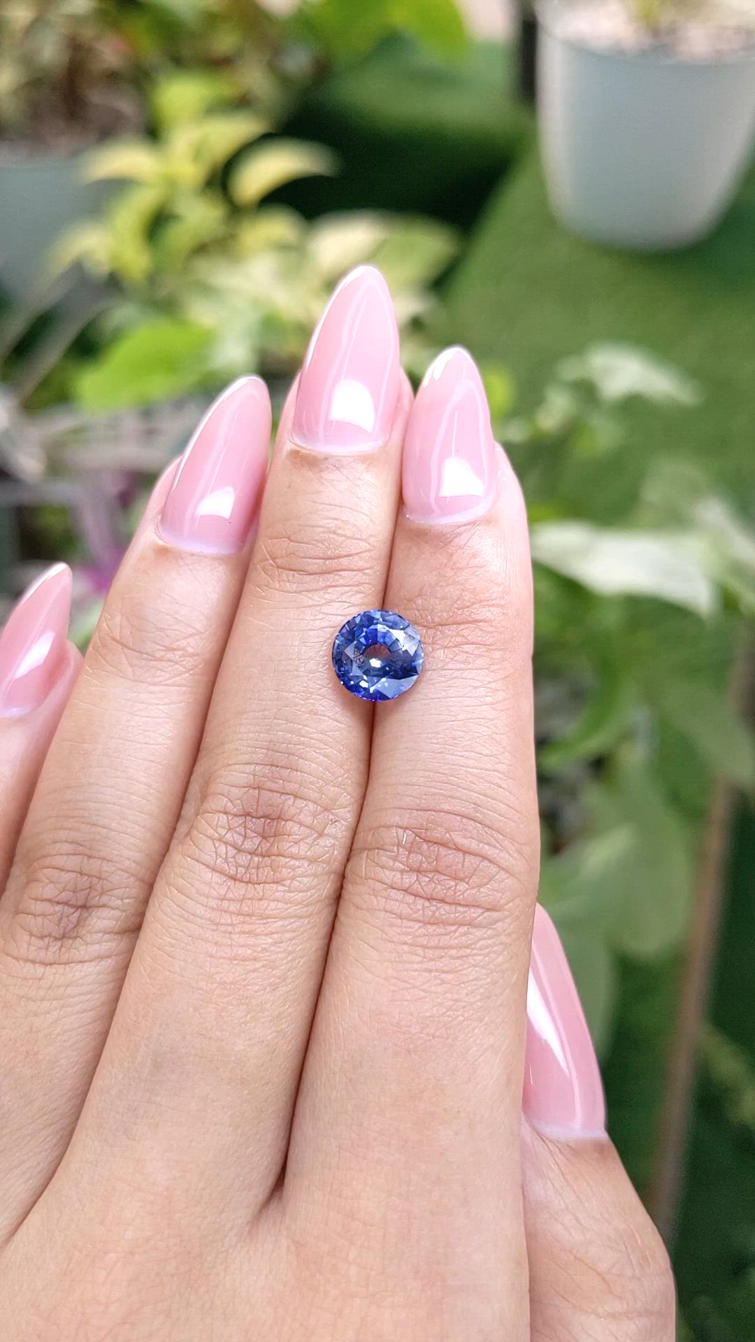 2.88 Ct. Bi Color Sapphire from Ceylon (Sri Lanka) Size Video