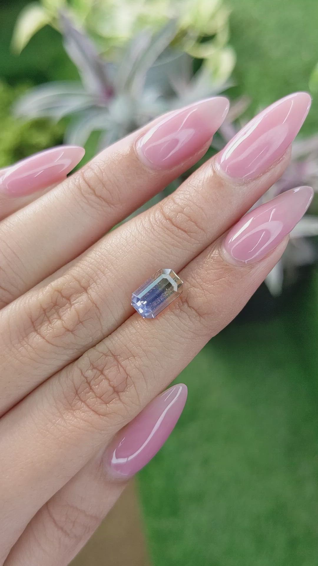 3.40 Ct. Bi Color Sapphire from Ceylon (Sri Lanka) Size Video