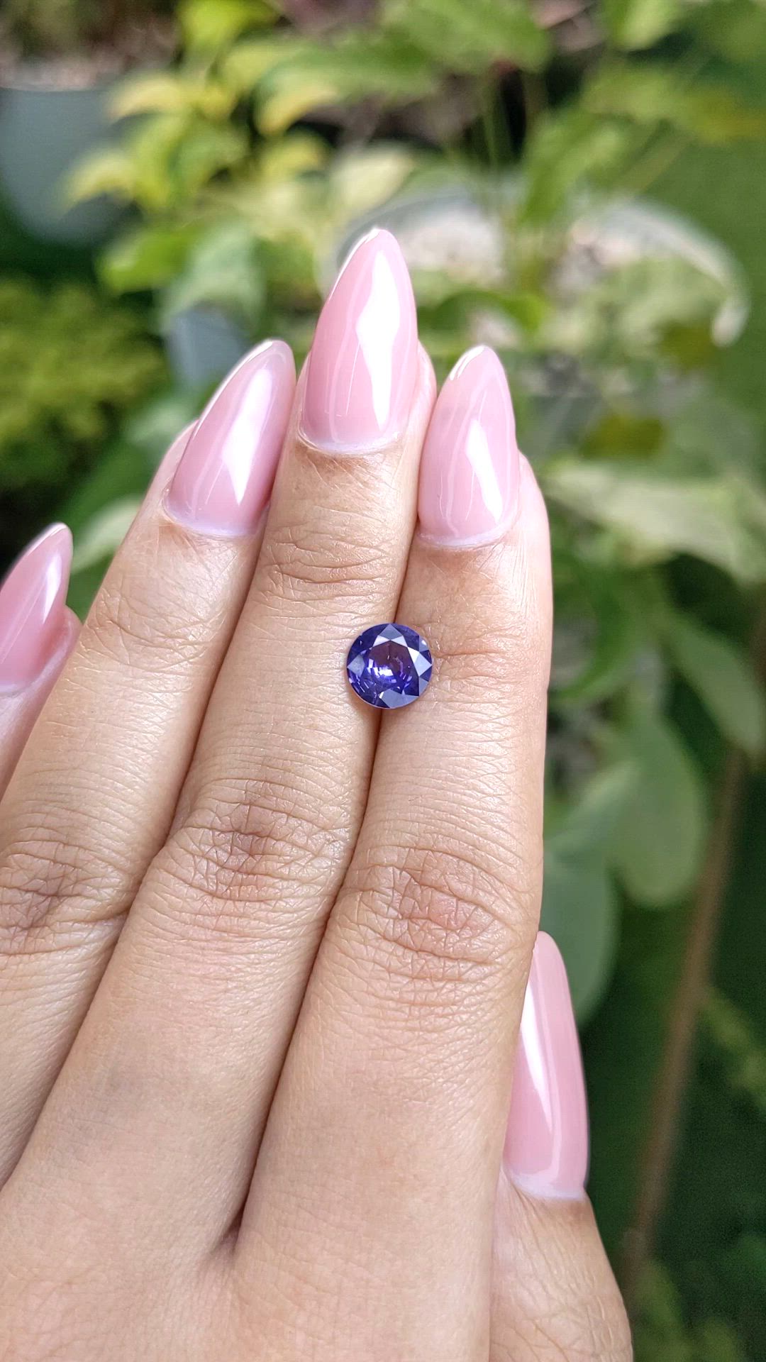 1.48 Ct. Bi Color Sapphire from Ceylon (Sri Lanka) Size Video