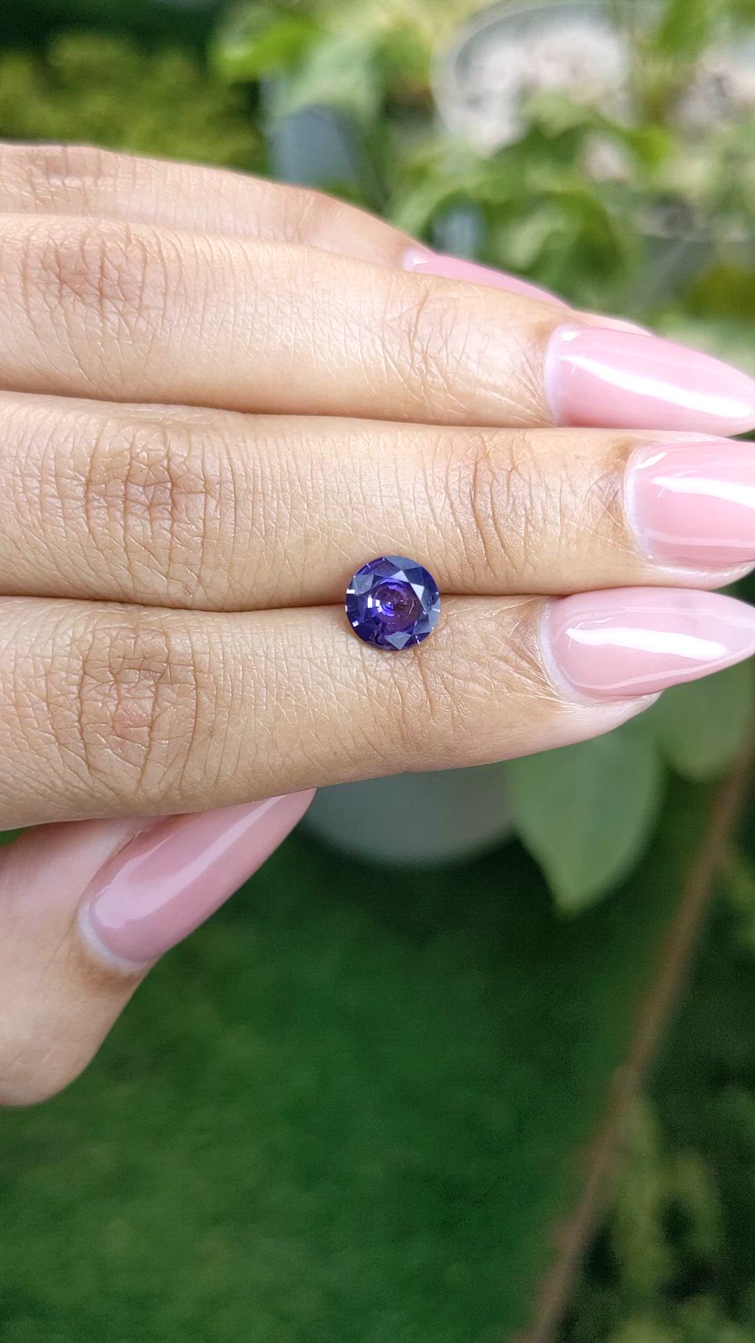1.48 Ct. Bi Color Sapphire from Ceylon (Sri Lanka) Size Video