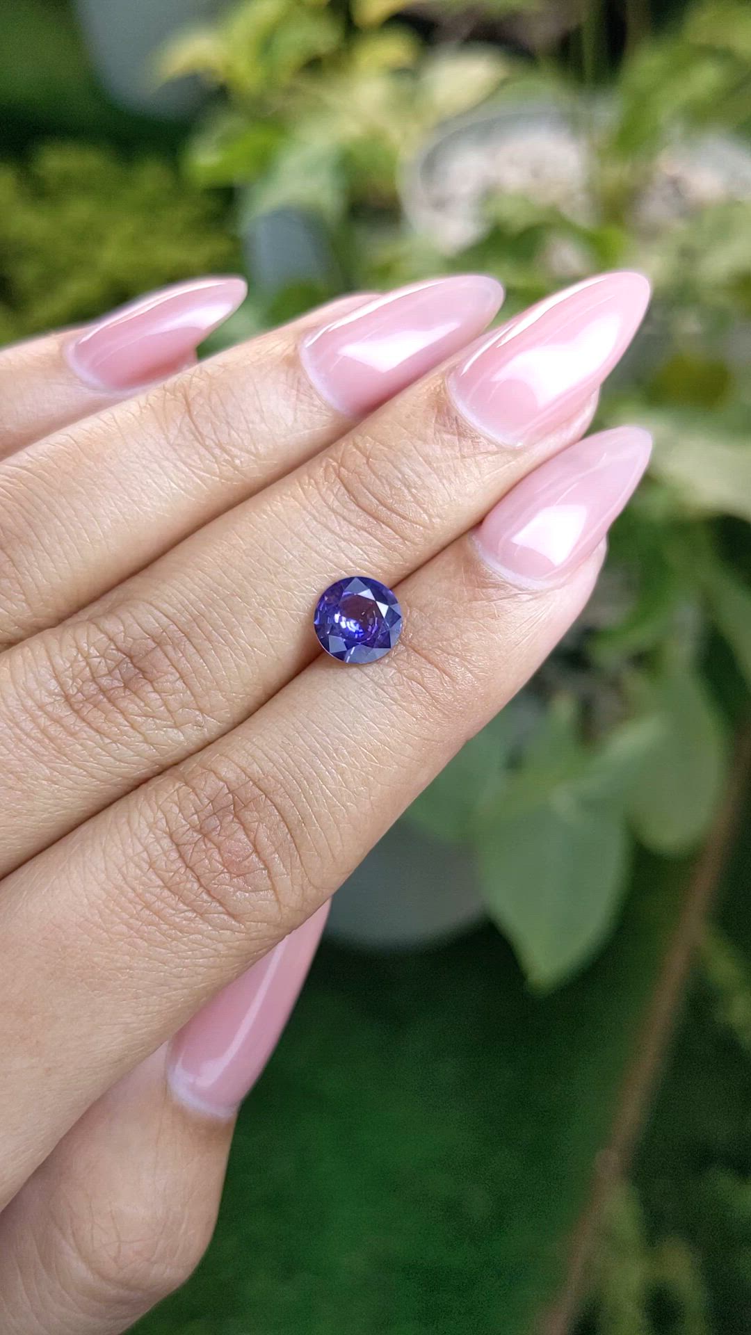 1.48 Ct. Bi Color Sapphire from Ceylon (Sri Lanka) Size Video