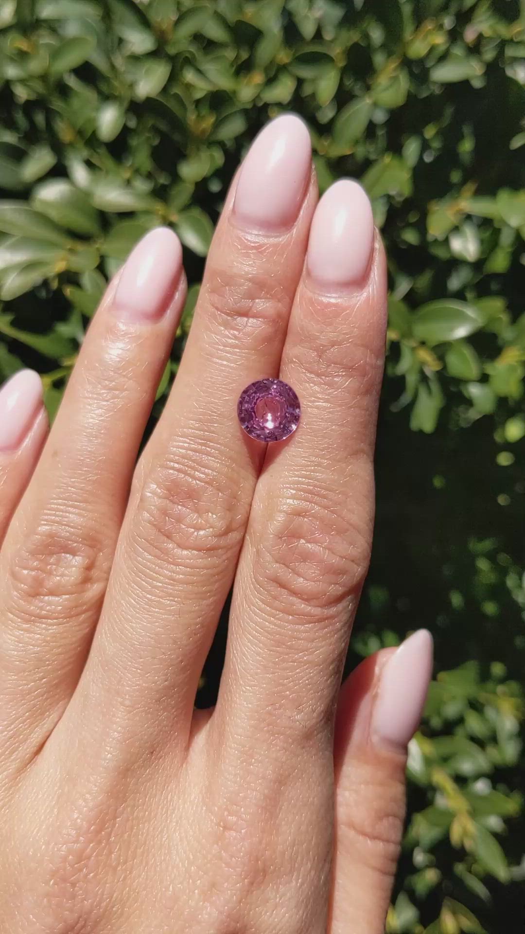 2.68 Ct. Pink Sapphire from Ceylon (Sri Lanka) Size Video