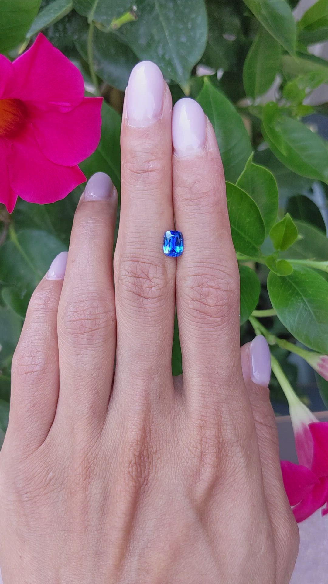 1.11 Ct. Blue Sapphire from Ceylon (Sri Lanka) Size Video