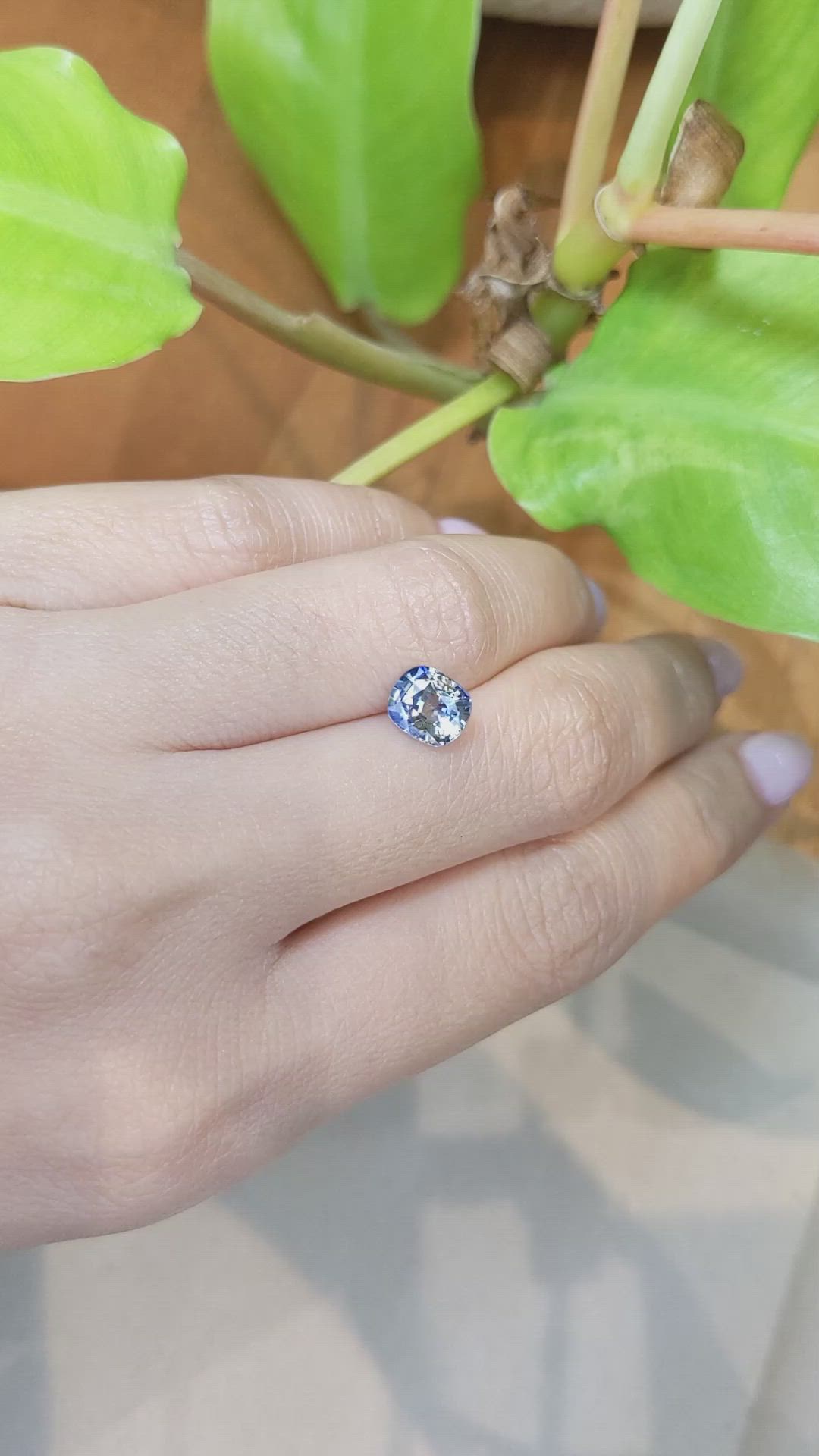 1.82 Ct. Bi Color Sapphire from Ceylon (Sri Lanka) Size Video